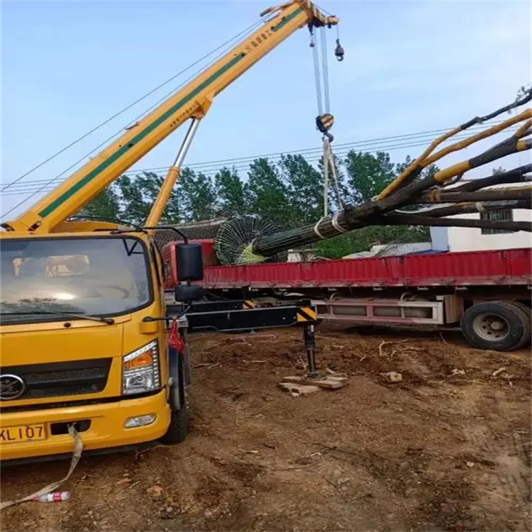 随县100吨吊车租赁费用怎么算？3大关键因素+省钱技巧全解析